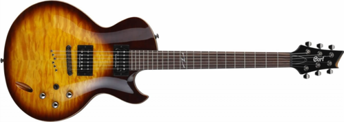 ZCUSTOM1BS