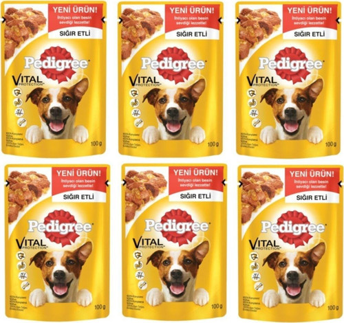 Pouch Yetişkin Sığır Etli Köpek Maması 100 Gr X 6 Adet