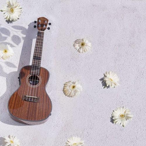 KUK-CGLE300 Elektro Concert Ukulele