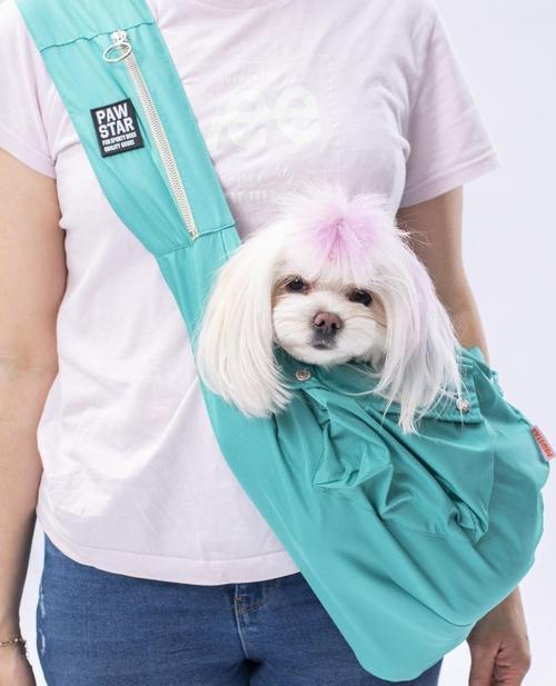 Mint Crossbody Küçük Irk Köpek Çapraz Taşıma Çantası