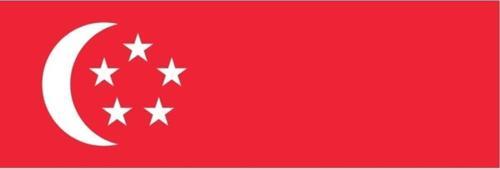 Singapur Bayrağı  50X75 Cm.