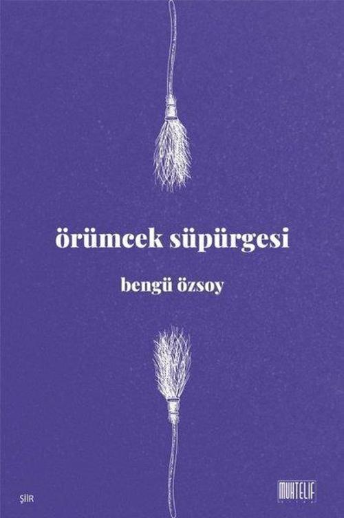 Örümcek Süpürgesi