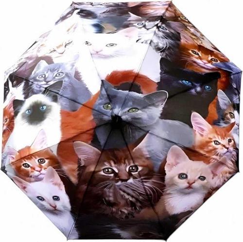 Kedi Desenli Canlı Lüx Renkli Baskılı Rüzgara Dayanıklı 8 Telli Katlanabilir Manuel Şemsiye Çok Renkli