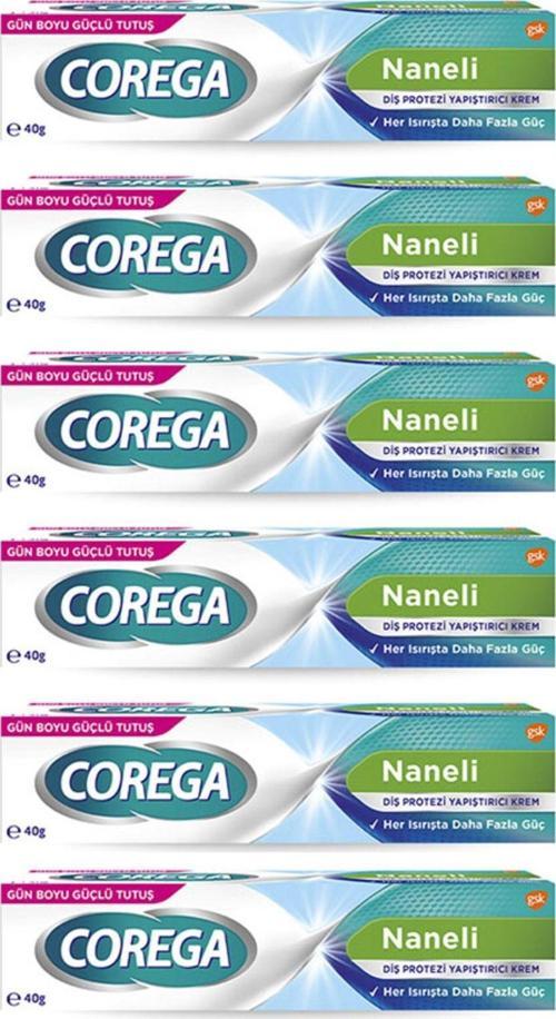 Naneli Diş Protez Yapıştırıcı Krem 40 Gr * 6 adet