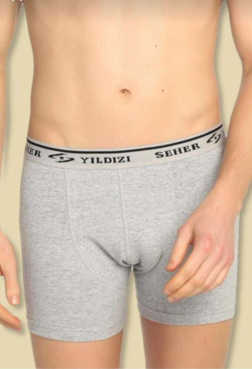 0060 ERKEK LİKRALI BOXER TEKLİ