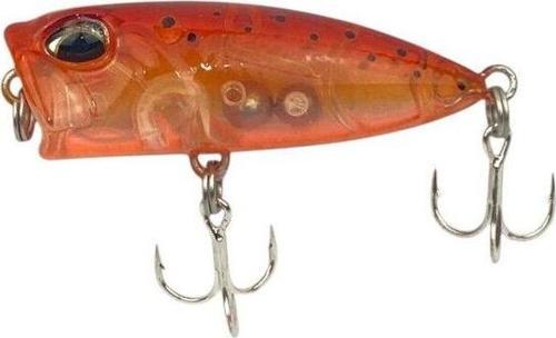 Bobby Kanky 40mm 3 Gr Dotted Honey varyant