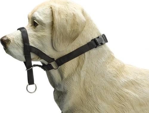 Köpek Eğitim Tasması, Baş Kontrollu, Siyah, XS