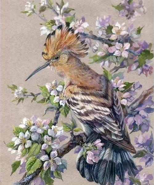 Canvas Bahar ve Kuş Sayılarla Boyama Seti  Kasnaklı 60 x 75 cm