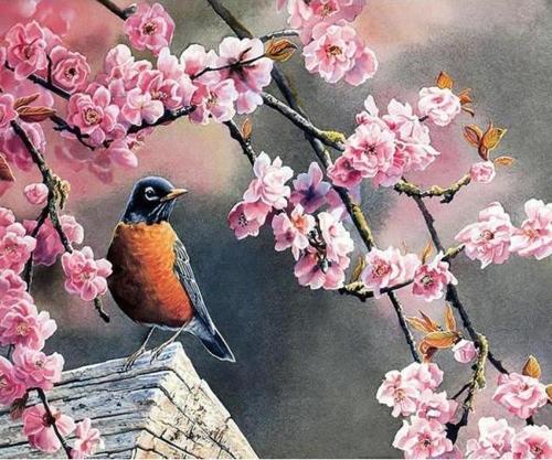 Canvas Bahar ve Kuşlar 2 Sayılarla Boyama Seti  Kasnaklı 70 x 90 cm