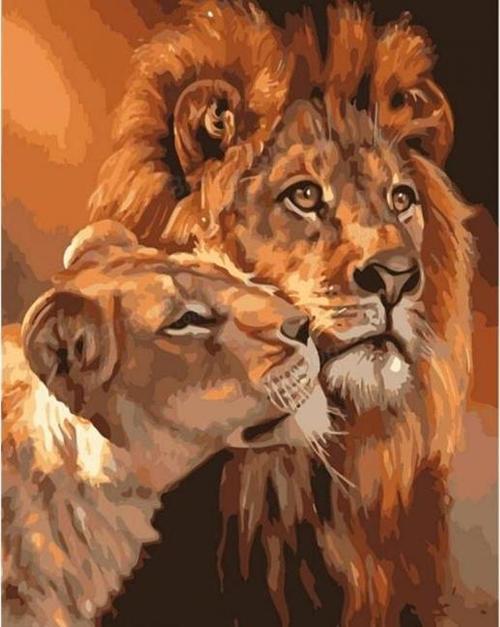 Canvas Aslanların Aşkı Sayılarla Boyama Seti  Kasnaklı 60 x 75 cm