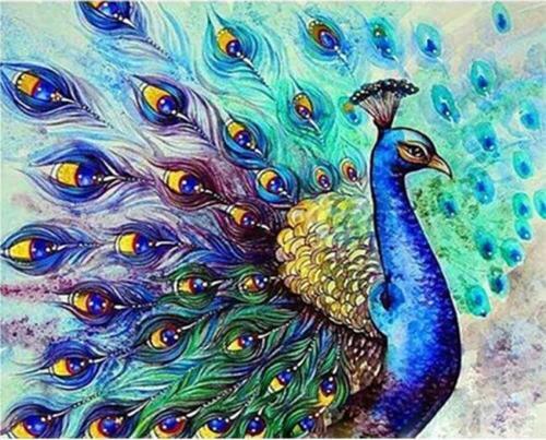 Canvas Bereket Tavus Kuşu Sayılarla Boyama Seti  Kasnaklı 100 x 140 cm