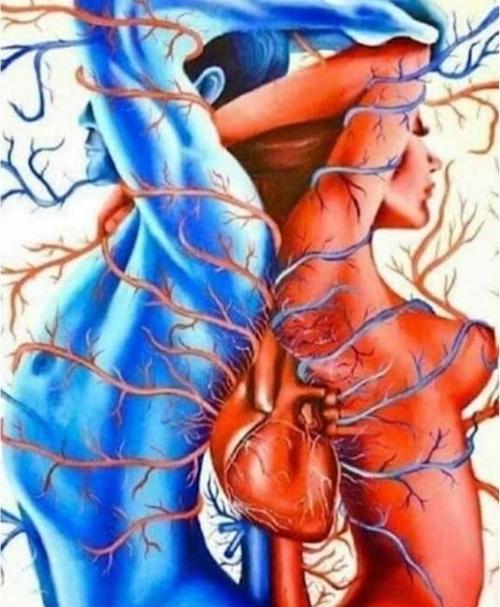 Canvas Derin Bağ Sayılarla Boyama Seti  Kasnaklı 70 x 90 cm
