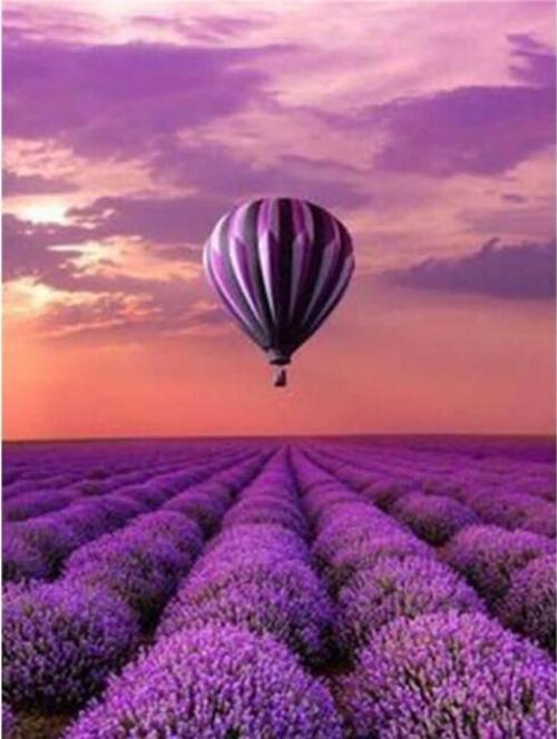 Canvas Lavanta Bahçesi ve Balon Sayılarla Boyama Seti  Kasnaklı 50 x 65 cm