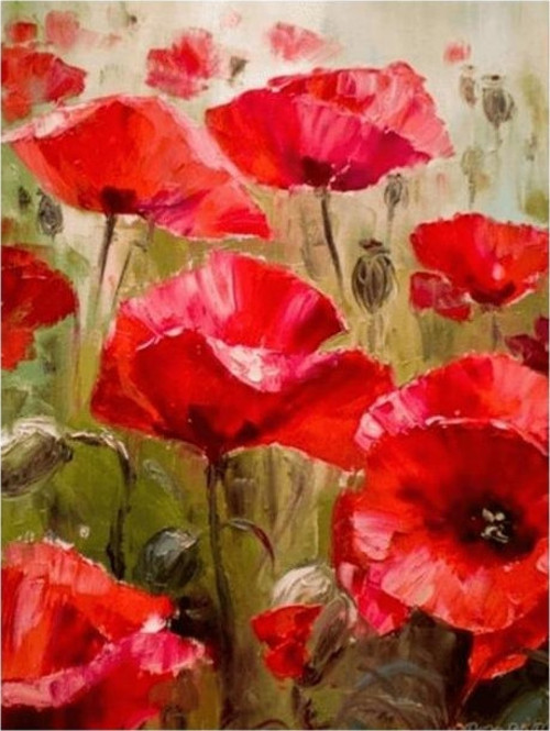 Canvas Gelincik Tarlası Sayılarla Boyama Seti Kasnaklı 70 x 90 cm