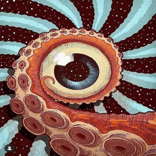 Canvas Göz Sayılarla Boyama Seti Kasnaklı 90 x 110 cm