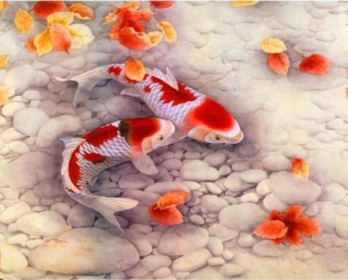 Canvas Japon Balıkları Sayılarla Boyama Seti  Kasnaklı 90 x 110 cm