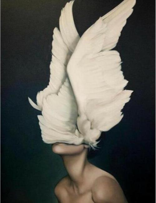 Canvas Özgür Ruhlu 2 Sayılarla Boyama Seti  Kasnaklı 90 x 110 cm