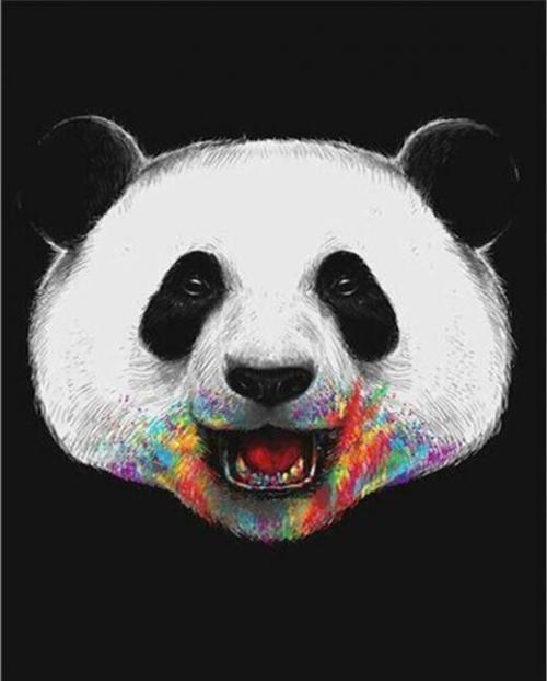 Canvas Pandam Renkli Sayılarla Boyama Seti  Kasnaklı 60 x 75 cm