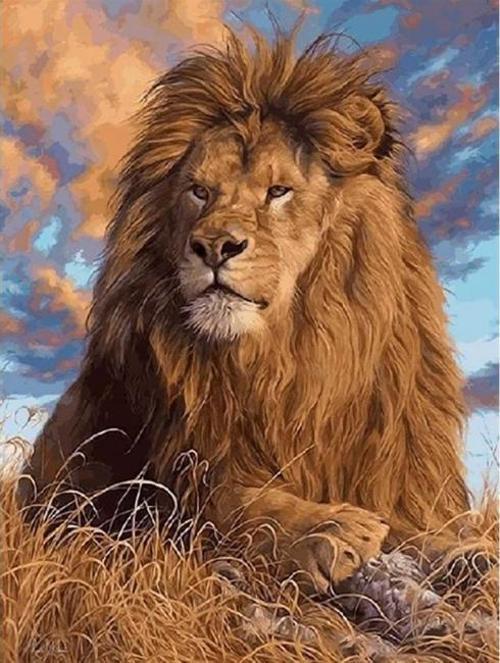 Canvas Lider Aslan  Sayılarla Boyama Seti  Kasnaklı 60 x 75 cm