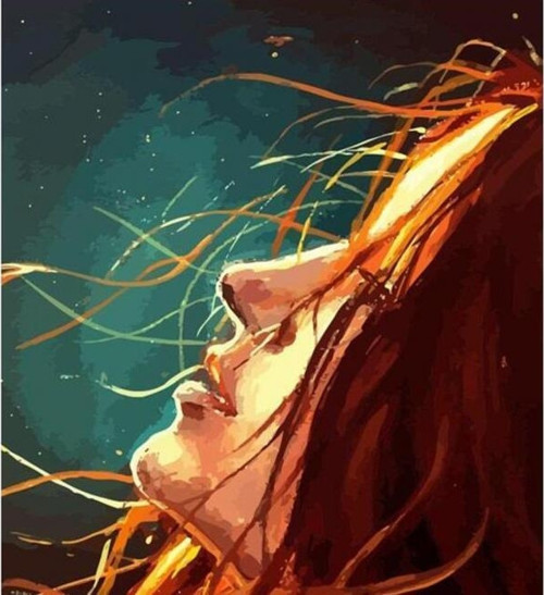 Canvas Kızıl Güzel Sayılarla Boyama Seti Kasnaklı 70 x 90 cm