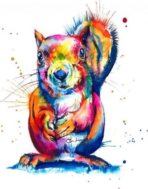 Canvas Sincap Sayılarla Boyama Seti  Kasnaklı 90 x 110 cm