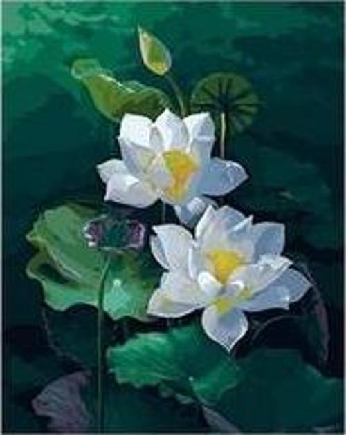 Canvas Nilüfer Sayılarla Boyama Seti  Kasnaklı 70 x 90 cm