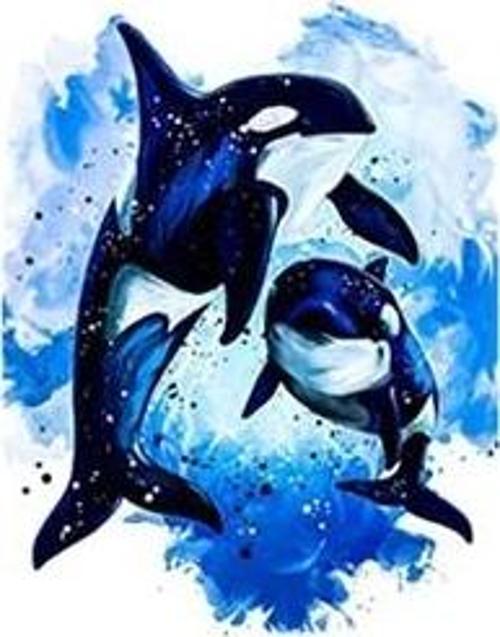 Canvas Orca Sayılarla Boyama Seti  Kasnaklı 50 x 65 cm