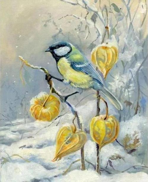 Canvas Kış ve Kuş Sayılarla Boyama Seti  Kasnaklı 40 x 50 cm