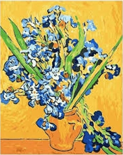 Canvas Van Gogh Süsen Sayılarla Boyama Seti Kasnaklı 50 x 65 cm