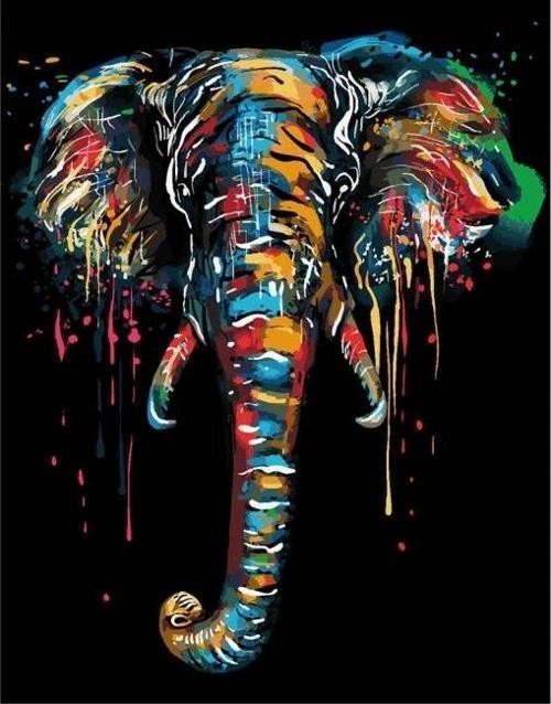 Canvas Renklerin Fili Sayılarla Boyama Seti  Kasnaklı 50 x 65 cm