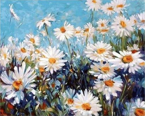 Canvas Papatya Tarlası Sayılarla Boyama Seti  Kasnaklı 50 x 65 cm