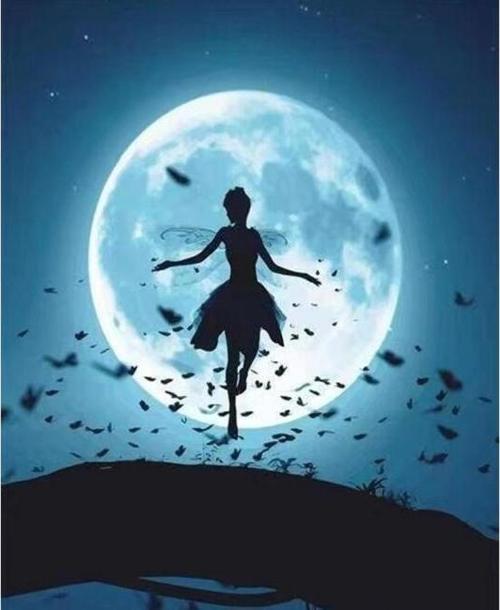 Canvas Peri Masalı Sayılarla Boyama Seti  Kasnaklı 70 x 90 cm