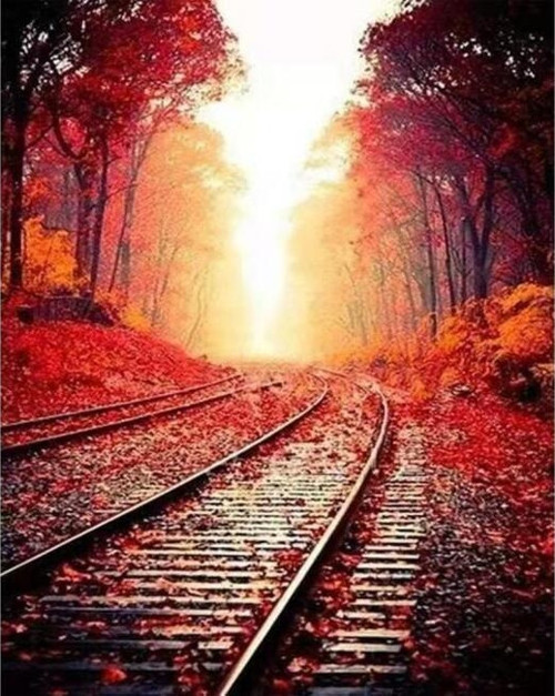 Canvas Tren Rayları Sayılarla Boyama Seti Kasnaklı 100 x 140 cm