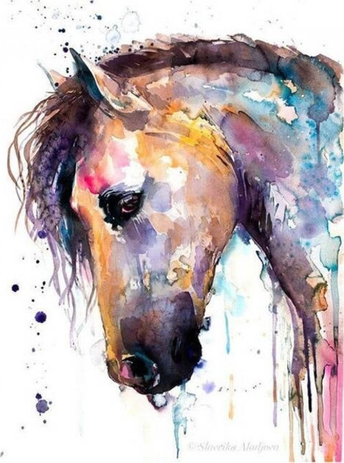 Canvas Renkli At Renkli Sayılarla Boyama Seti Kasnaklı 90 x 110 cm