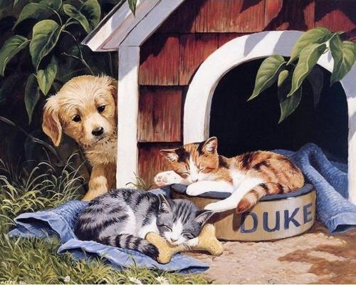 Canvas Sevimli Dostlar Boyama  Seti  Kasnaklı 60 x 75 cm