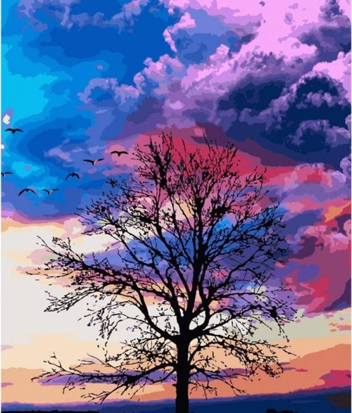 Canvas Renkli Gökyüzü Sayılarla Boyama Seti Kasnaklı 100 x 140 cm