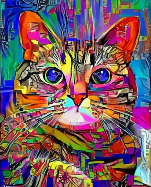 Canvas Renkli Kedi 2 Sayılarla Boyama Seti Kasnaklı 90 x 110 cm
