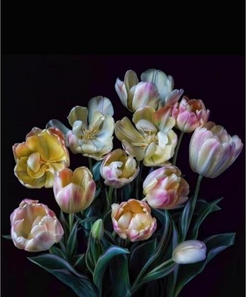 Canvas Yaşam Çiçeği Sayılarla Boyama Seti Kasnaklı 90 x 110 cm