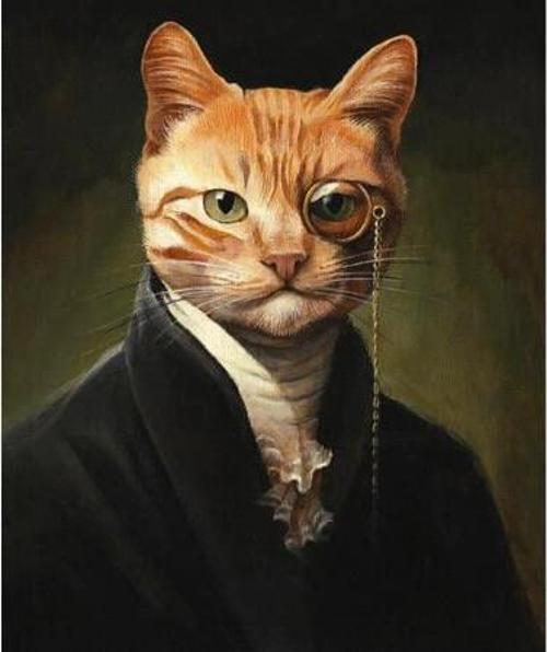 Canvas Kedinin Asilliği Sayılarla Boyama Seti  Kasnaklı 100 x 140 cm