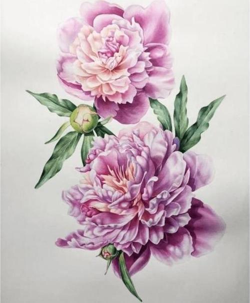 Canvas Pembe Çiçekler Sayılarla Boyama Seti   Kasnaklı 90 x 110 cm