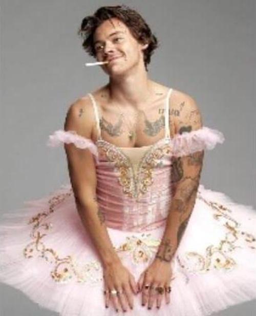 Canvas Harry Styles Sayılarla Boyama Seti  Kasnaklı 70 x 90 cm