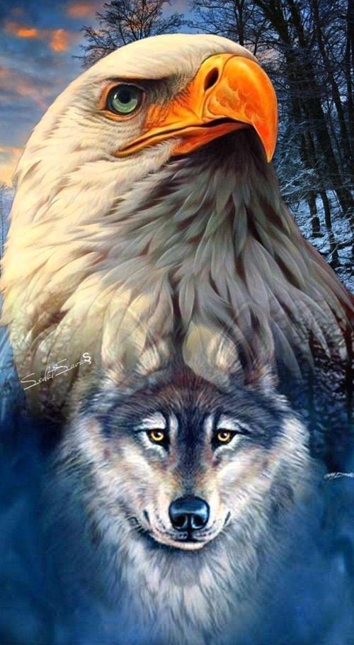 Canvas Kartal Ve Kurt Sayılarla Boyama Seti Kasnaklı 60 x 75 cm