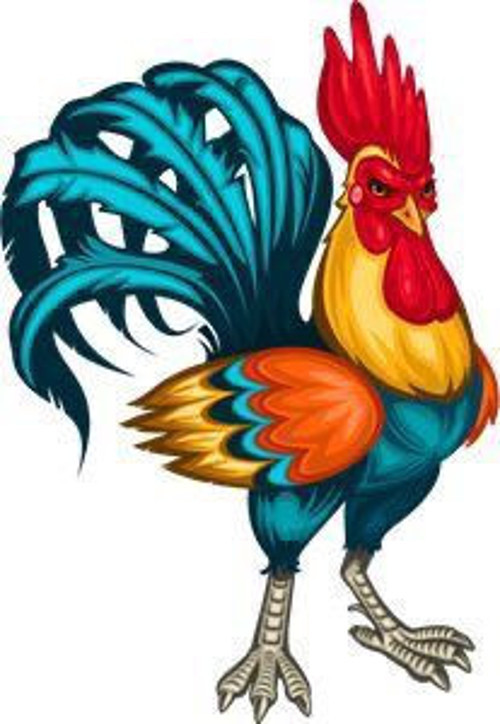 Canvas Horoz Sayılarla Boyama Seti Kasnaklı 70 x 90 cm