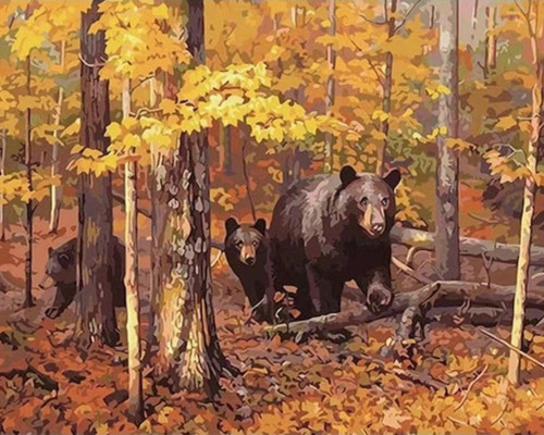 Canvas Ayı Ailesi Sayılarla Boyama Seti Kasnaklı 50 x 65 cm