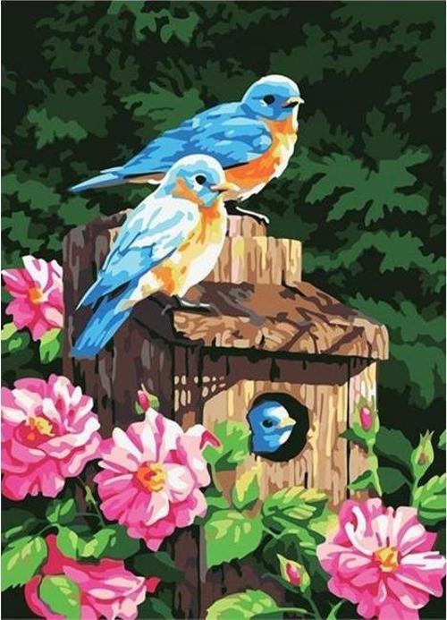 Canvas Mavi Kuşlar ve Çiçekler Sayılarla Boyama Seti  Kasnaklı 40 x 50 cm