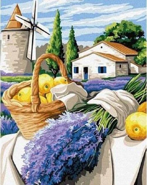 Canvas Değirmendeki Lavanta Sayılarla Boyama Seti  Kasnaklı 60 x 75 cm