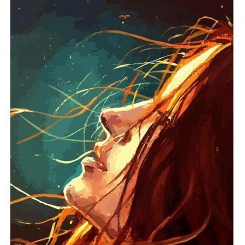 Canvas Kızıl Güzel Sayılarla Boyama Seti  Kasnaklı 100 x 140 cm