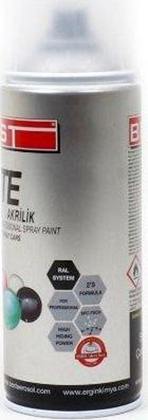 SPREY BOYA ELİTE  RAL 9802 RENK GÜMÜŞ