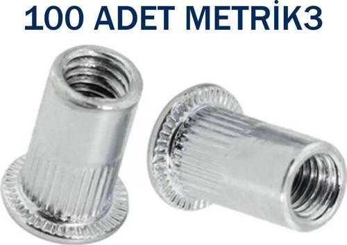 Yuvarlak (Silindir) Geniş Kafa (Flanşlı) Çelik Somun Perçin M3 Metrik 3 - 100 Adet