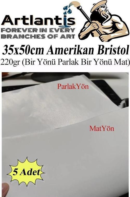 Amerikan Bristol Karton 35x50 cm 5 Adet 220 gr Bir Tarafı Parlak Bir Tarafı Mat Kağıt Biristol Karton